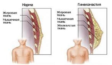 yktykytkt34634.jpg - 26.60 kB