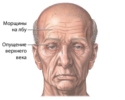 hrtjrjkrj547.jpg - 36.01 kB