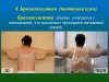 Брахиопластика - 8